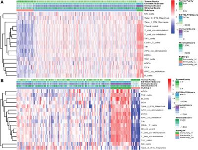 Development and validation of a novel immunotype for prediction of overall survival in patients with clear cell renal cell carcinoma